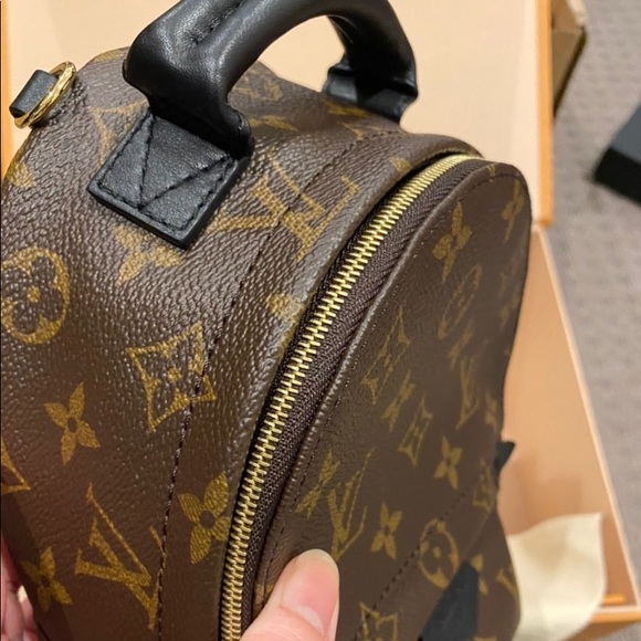 Louis Vuitton Palm Springs Mini - Picture 3 of 12